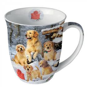 841888_ambiente_becher_golden_retriever_puppies_thumb-2.jpg 841888_ambiente_becher_golden_retriever_puppies_thumb-2.jpg