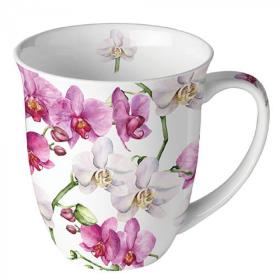 841960_ambiente_becher_orchid_thumb.jpg 841960_ambiente_becher_orchid_thumb.jpg