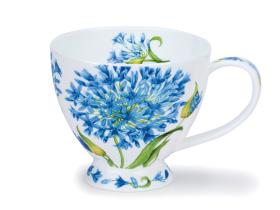 894425_dunoon_skye_agapanthus_thumb.jpg