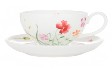 Tasse und Untere Lotta